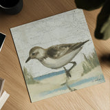 Beach Bird IV by James Wiens. Shown as a detailed flat fine art print, highlighting archival giclee quality. Available as an archival giclee rolled canvas, fine art paper, or poster print. SKU 13404a.