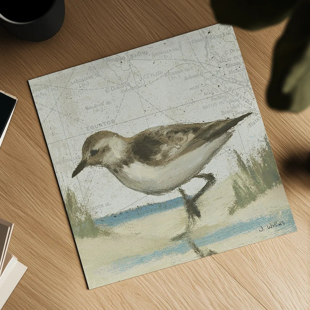 Beach Bird IV by James Wiens. Shown as a detailed flat fine art print, highlighting archival giclee quality. Available as an archival giclee rolled canvas, fine art paper, or poster print. SKU 13404a.