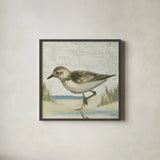 Beach Bird IV by James Wiens. Shown in a sleek black glass frame for a contemporary gallery look. Available as an archival giclee rolled canvas, fine art paper, or poster print. SKU 13404a.