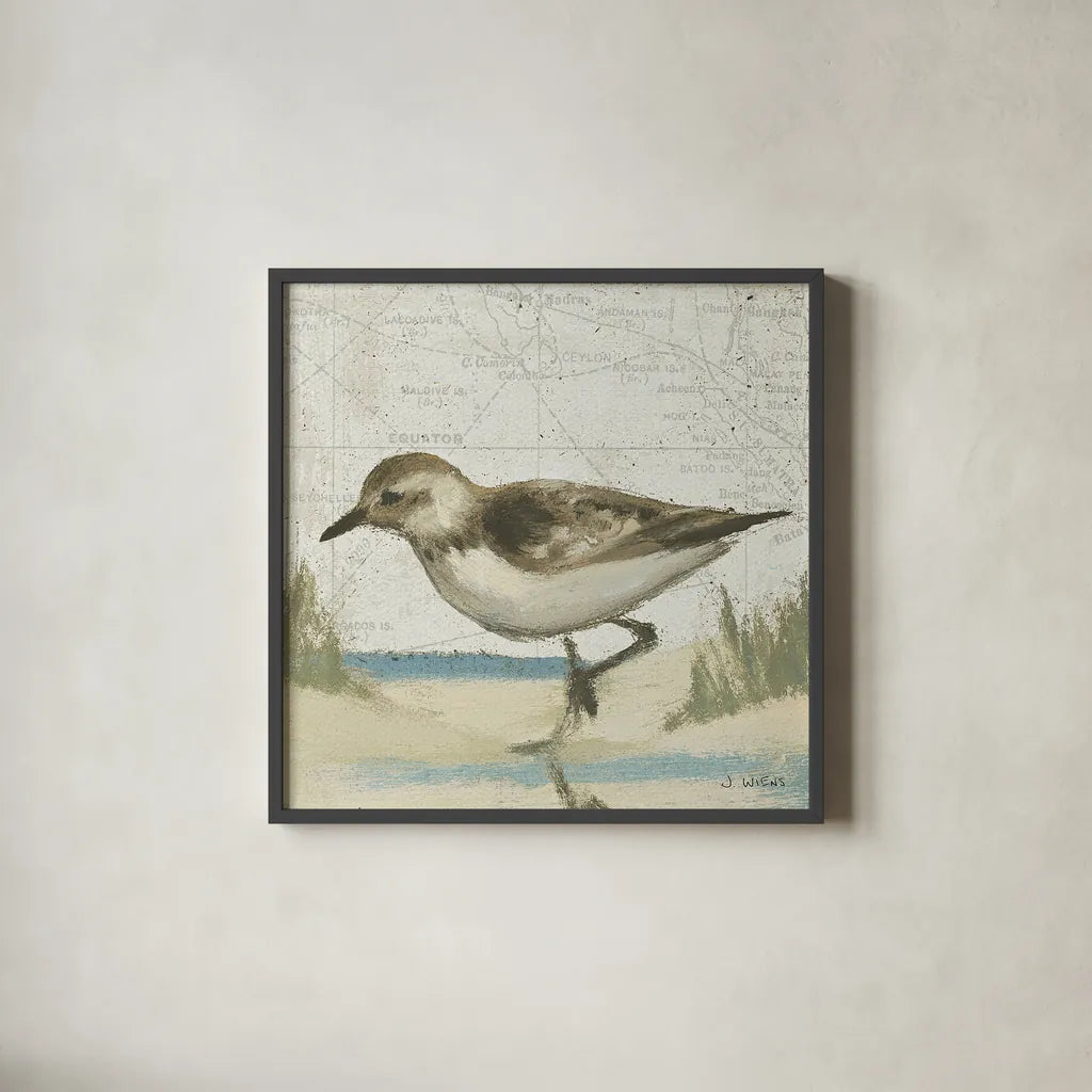 Beach Bird IV by James Wiens. Shown in a sleek black glass frame for a contemporary gallery look. Available as an archival giclee rolled canvas, fine art paper, or poster print. SKU 13404a.