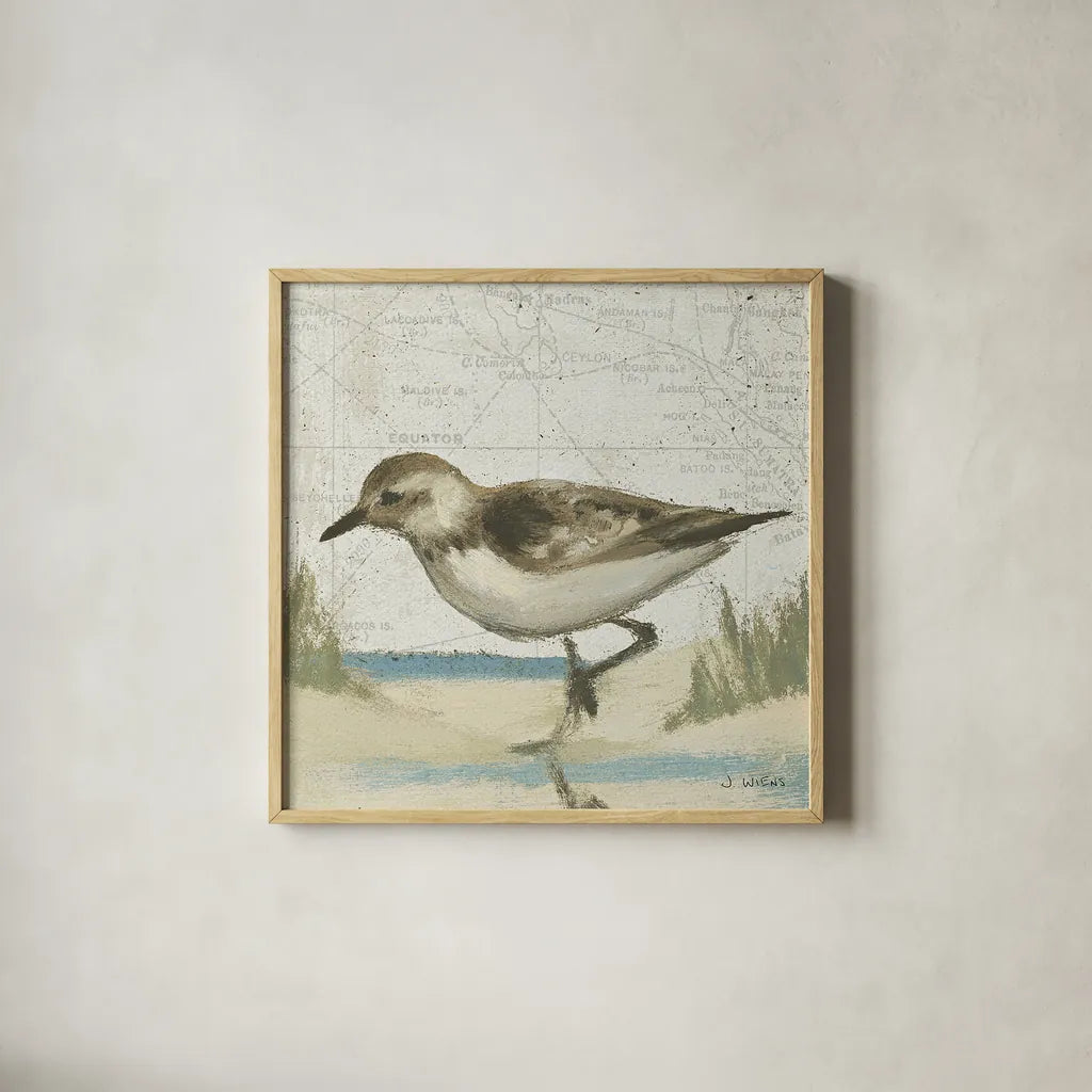 Beach Bird IV by James Wiens. Shown in a natural wood glass frame for a timeless modern aesthetic. Available as an archival giclee rolled canvas, fine art paper, or poster print. SKU 13404a.