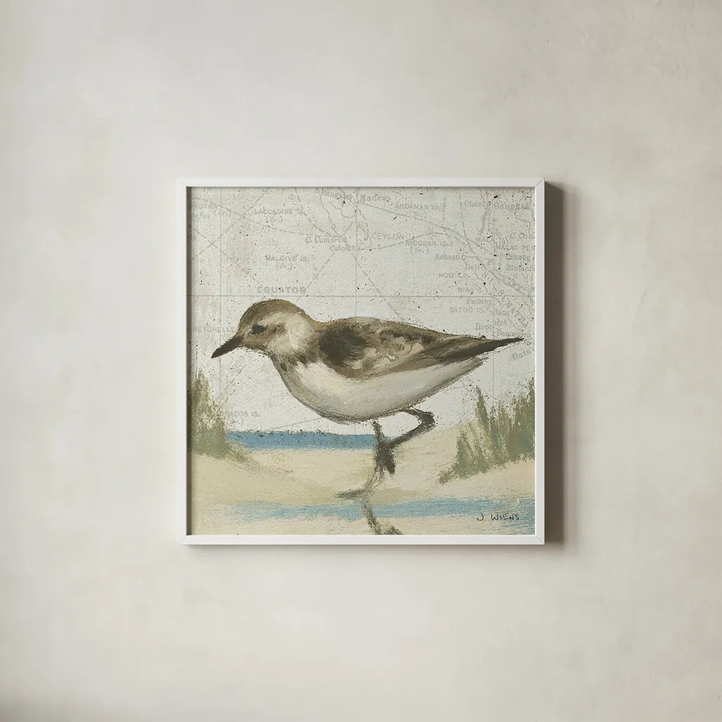 Beach Bird IV by James Wiens. Shown in a crisp white glass frame for a clean and minimalist style. Available as an archival giclee rolled canvas, fine art paper, or poster print. SKU 13404a.