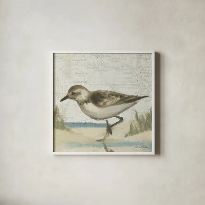 Beach Bird IV by James Wiens. Shown in a crisp white glass frame for a clean and minimalist style. Available as an archival giclee rolled canvas, fine art paper, or poster print. SKU 13404a.