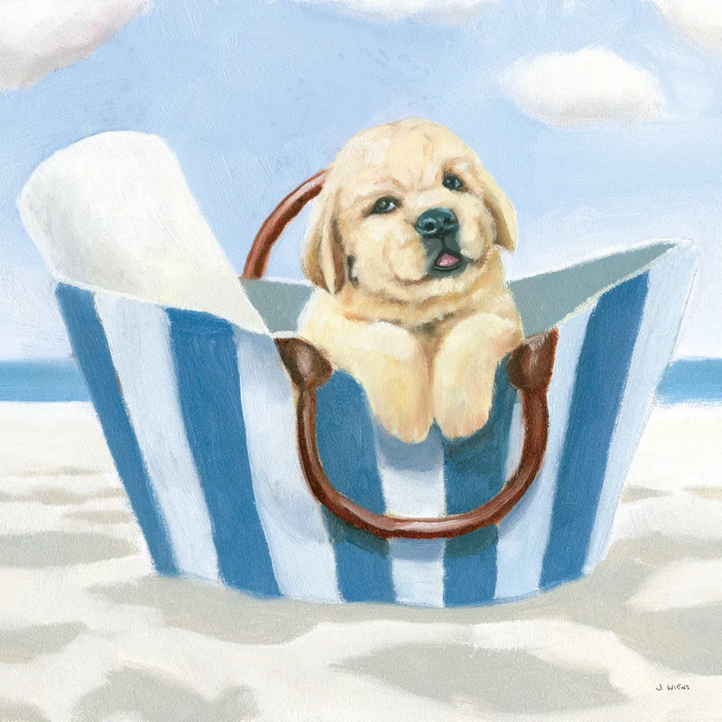 Beach Ride VI by James Wiens. SKU 73136a. Archival Giclee Fine art print for wall decor.