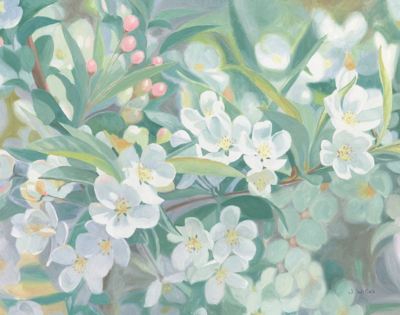 Blossoms by James Wiens