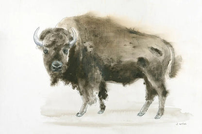 Buffalo Bill by James Wiens. SKU 23621i. Archival Giclee Fine art print for wall decor.