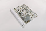 Cherry Blossoms I Blue by James Wiens. shown as a rolled paper print. Available as archival giclee rolled canvas, fine art paper, or poster print. SKU 17842i.