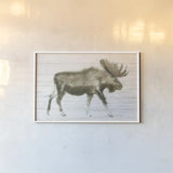 Dark Moose on Wood Crop by James Wiens. shown as a paper print in a white frame. Available as a archival giclee rolled canvas, fine art paper, or poster print. SKU 38831i.