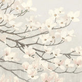 Dogwood Blossoms II Gray by James Wiens. SKU 41472a. Archival Giclee Fine art print for wall decor.