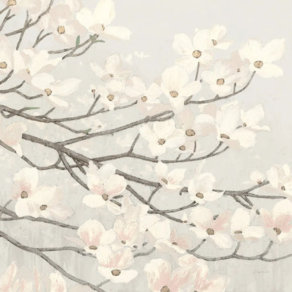 Dogwood Blossoms II Gray by James Wiens. SKU 41472a. Archival Giclee Fine art print for wall decor.