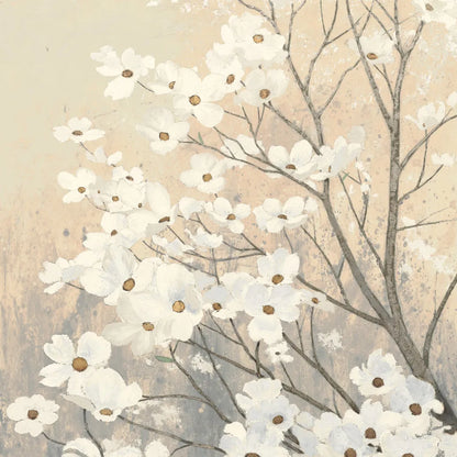 Dogwood Blossoms II Neutral by James Wiens. SKU 41473a. Archival Giclee Fine art print for wall decor.