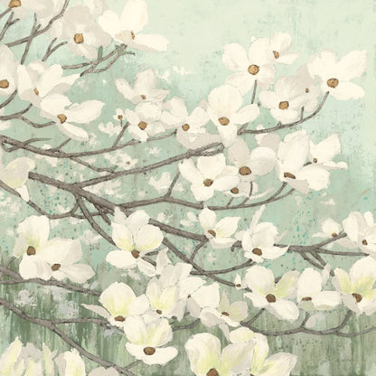 Dogwood Blossoms II Sage Green by James Wiens. SKU 11164a. Archival Giclee Fine art print for wall decor.