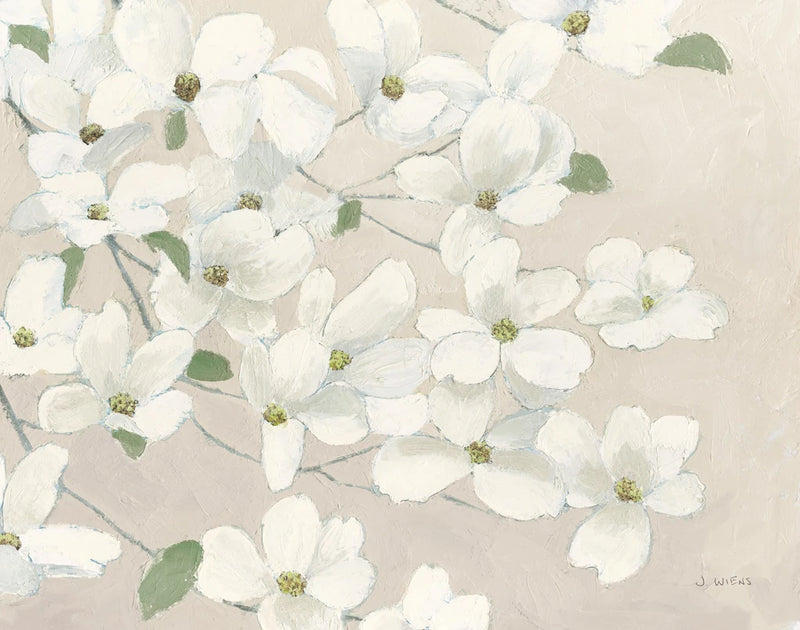 Dogwood Delight Cream by James Wiens