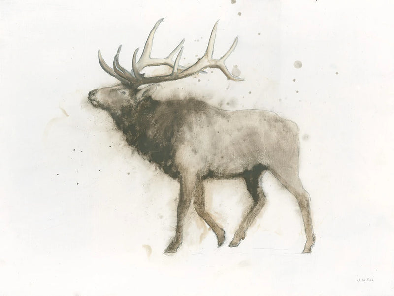 Elk by James Wiens