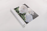 Essence of June I Black by James Wiens. shown as a rolled paper print. Available as archival giclee rolled canvas, fine art paper, or poster print. SKU 52073i.