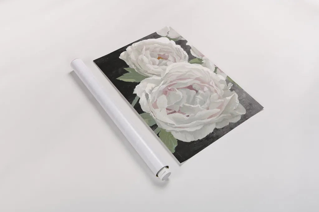 Essence of June II Black by James Wiens. shown as a rolled paper print. Available as archival giclee rolled canvas, fine art paper, or poster print. SKU 52074i.