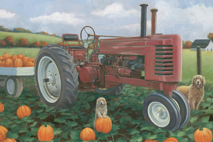 Fall Bounty II by James Wiens. SKU 76873i. Archival Giclee Fine art print for wall decor.