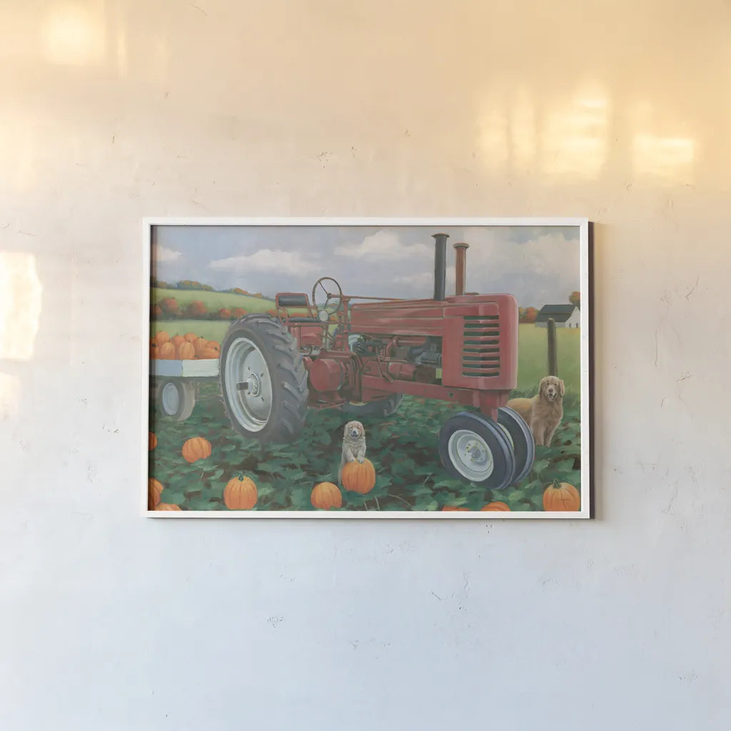 Fall Bounty II by James Wiens. shown as a paper print in a white frame. Available as a archival giclee rolled canvas, fine art paper, or poster print. SKU 76873i.