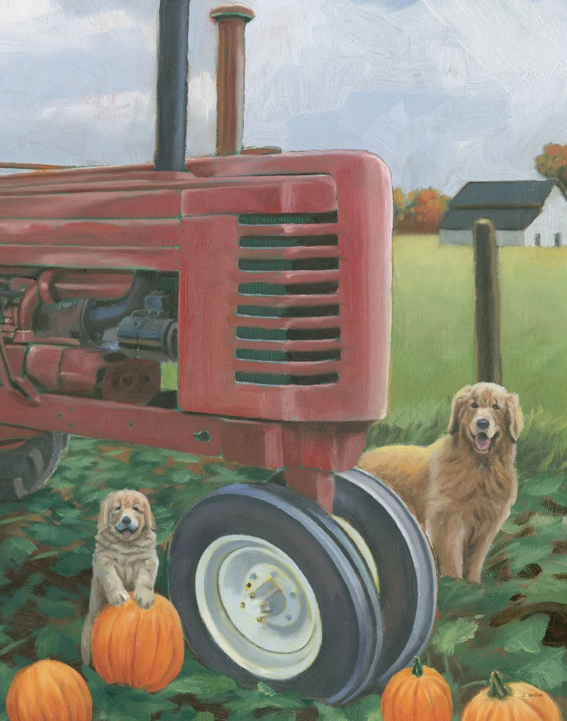 Fall Bounty II Crop by James Wiens