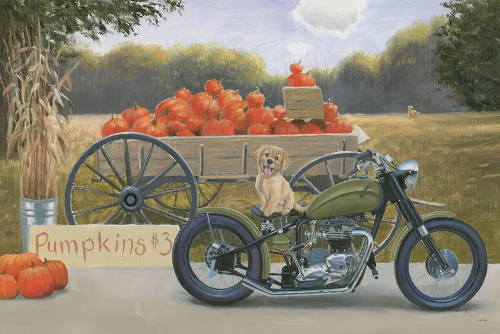 Fall Bounty IV by James Wiens. SKU 76875i. Archival Giclee Fine art print for wall decor.