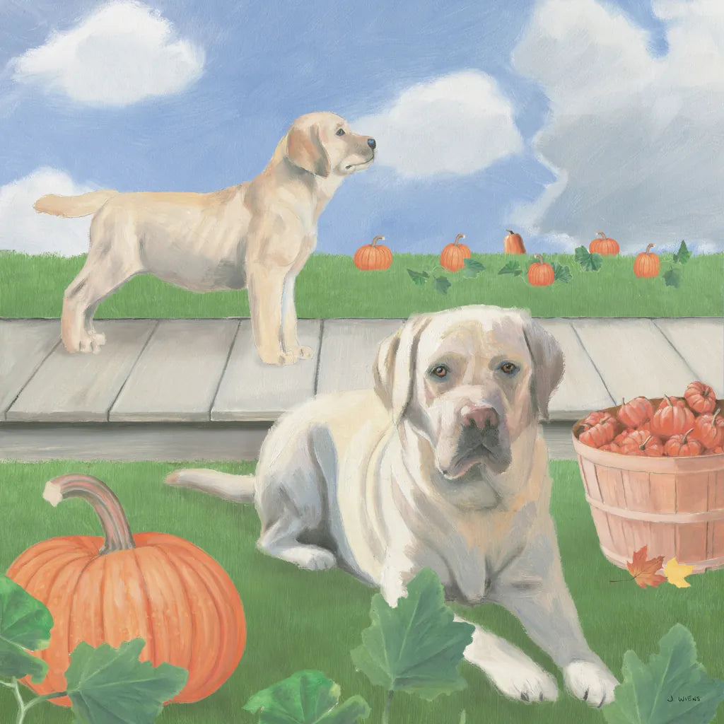 Fall at the Farm II by James Wiens. SKU 79916a. Archival Giclee Fine art print for wall decor.