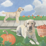 Fall at the Farm II by James Wiens. SKU 79916a. Archival Giclee Fine art print for wall decor.