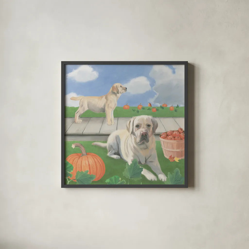 Fall at the Farm II by James Wiens. Shown in a sleek black glass frame for a contemporary gallery look. Available as an archival giclee rolled canvas, fine art paper, or poster print. SKU 79916a.