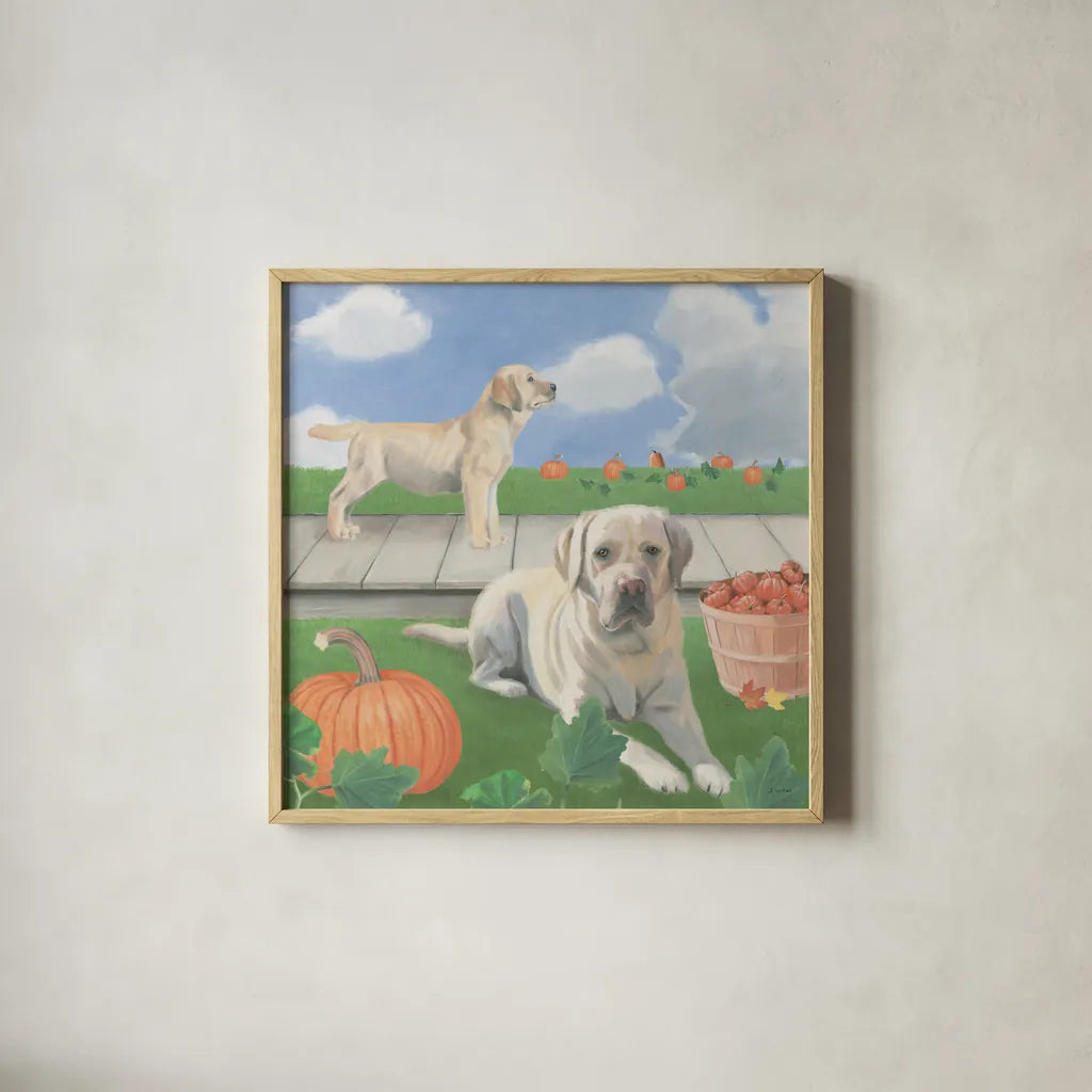 Fall at the Farm II by James Wiens. Shown in a natural wood glass frame for a timeless modern aesthetic. Available as an archival giclee rolled canvas, fine art paper, or poster print. SKU 79916a.