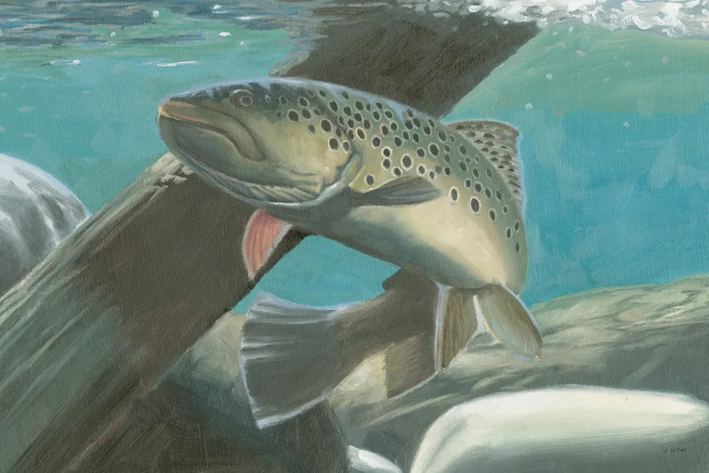 Fresh Catch I by James Wiens. SKU 81492i. Archival Giclee Fine art print for wall decor.