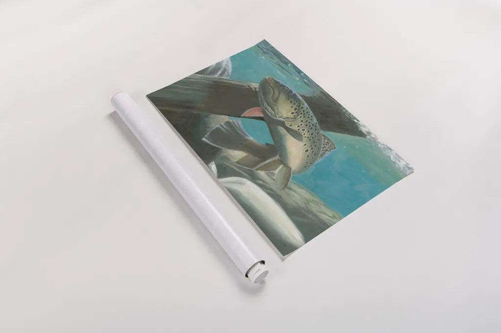 Fresh Catch I by James Wiens. shown as a rolled paper print. Available as archival giclee rolled canvas, fine art paper, or poster print. SKU 81492i.