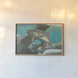 Fresh Catch I by James Wiens. shown as a paper print in a natural frame. Available as a archival giclee rolled canvas, fine art paper, or poster print. SKU 81492i.