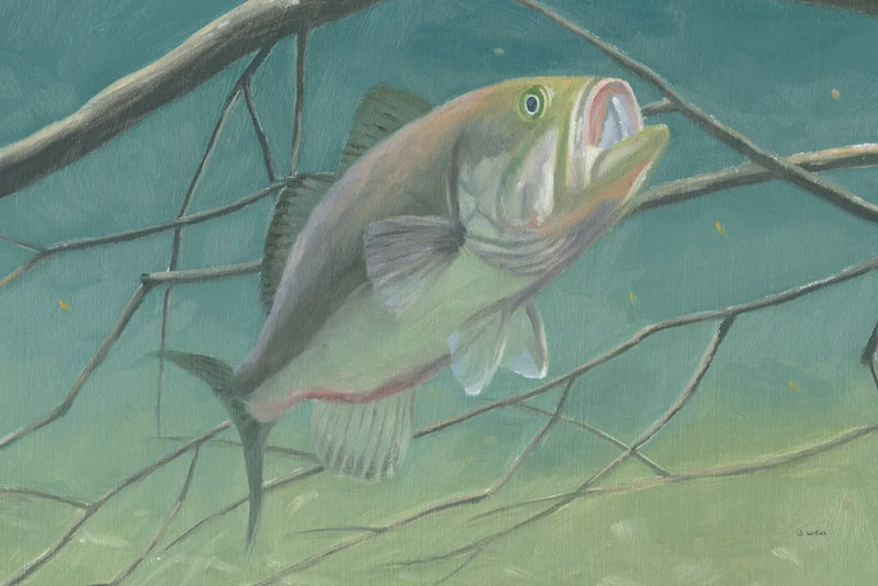 Fresh Catch II by James Wiens. SKU 81493i. Archival Giclee Fine art print for wall decor.