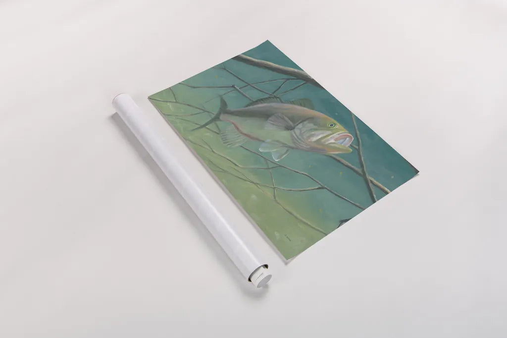 Fresh Catch II by James Wiens. shown as a rolled paper print. Available as archival giclee rolled canvas, fine art paper, or poster print. SKU 81493i.