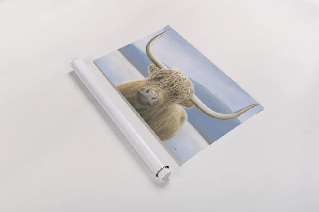 Highland Cow by James Wiens. shown as a rolled paper print. Available as archival giclee rolled canvas, fine art paper, or poster print. SKU 50229i.