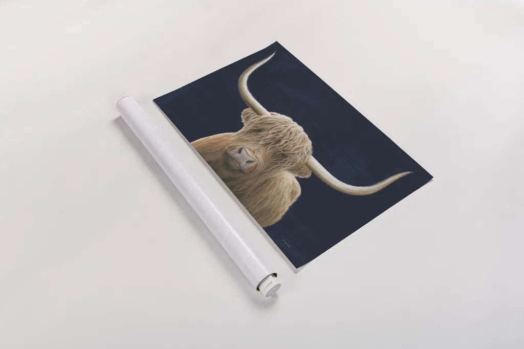 Highland Cow Navy by James Wiens. shown as a rolled paper print. Available as archival giclee rolled canvas, fine art paper, or poster print. SKU 56160i.