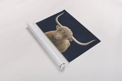 Highland Cow Navy by James Wiens. shown as a rolled paper print. Available as archival giclee rolled canvas, fine art paper, or poster print. SKU 56160i.