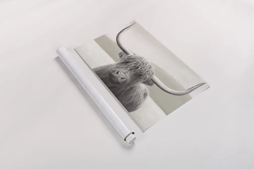 Highland Cow Neutral by James Wiens. shown as a rolled paper print. Available as archival giclee rolled canvas, fine art paper, or poster print. SKU 51630i.