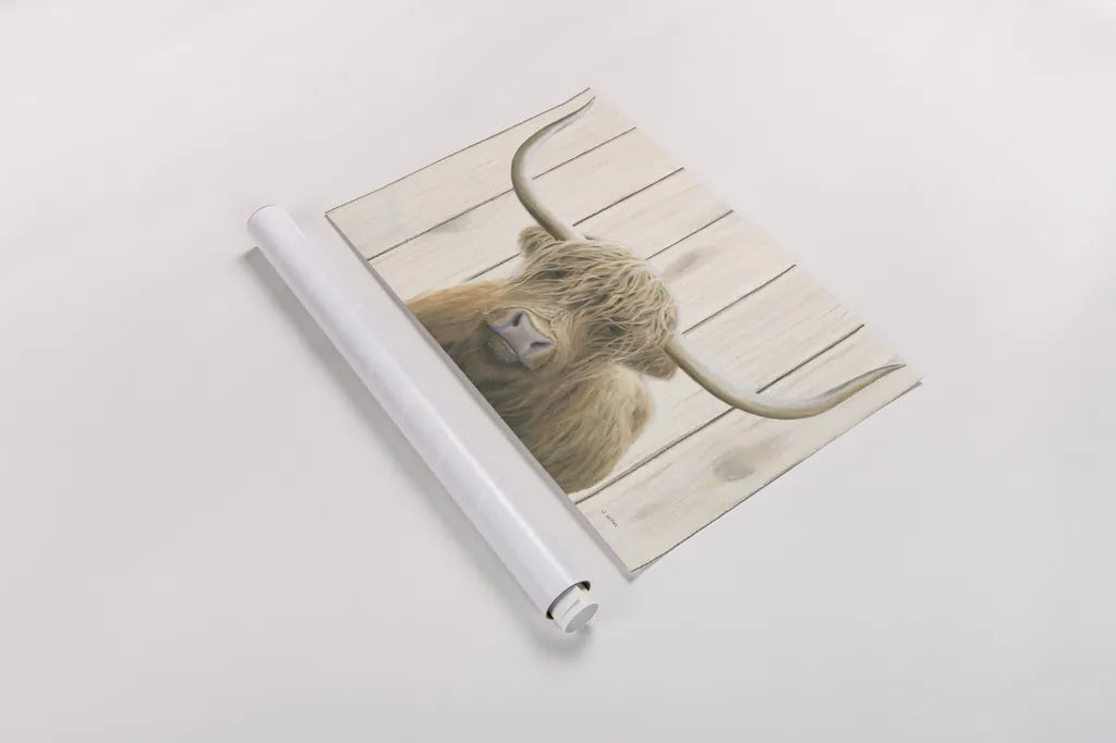 Highland Cow Shiplap by James Wiens. shown as a rolled paper print. Available as archival giclee rolled canvas, fine art paper, or poster print. SKU 52459i.