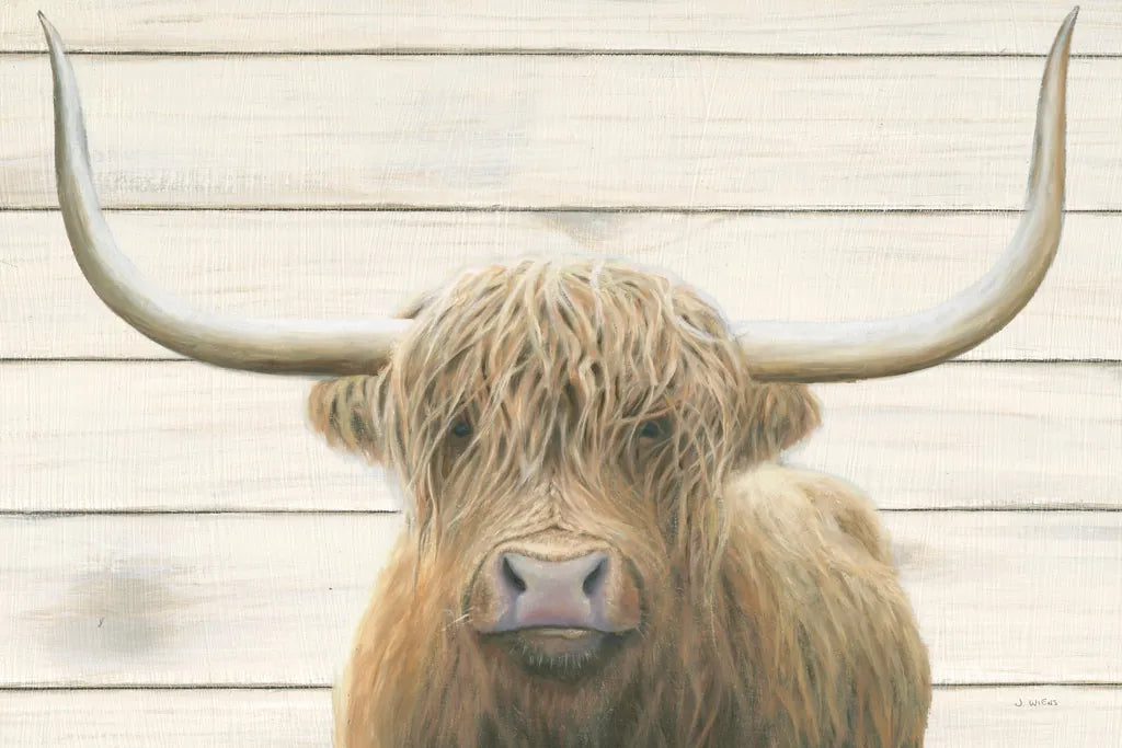 Highland Cow Shiplap v2 by James Wiens. SKU 52844i. Archival Giclee Fine art print for wall decor.