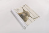 Highland Cow Shiplap v2 by James Wiens. shown as a rolled paper print. Available as archival giclee rolled canvas, fine art paper, or poster print. SKU 52844i.