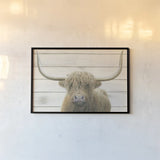 Highland Cow Shiplap v2 by James Wiens. shown as a paper print in a black flame. Available as a archival giclee rolled canvas, fine art paper, or poster print. SKU 52844i.