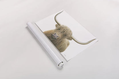 Highland Cow on White by James Wiens. shown as a rolled paper print. Available as archival giclee rolled canvas, fine art paper, or poster print. SKU 50230i.