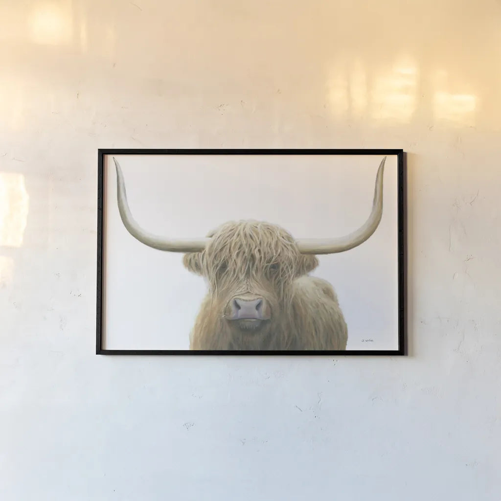 Highland Cow on White by James Wiens. shown as a paper print in a black flame. Available as a archival giclee rolled canvas, fine art paper, or poster print. SKU 50230i.
