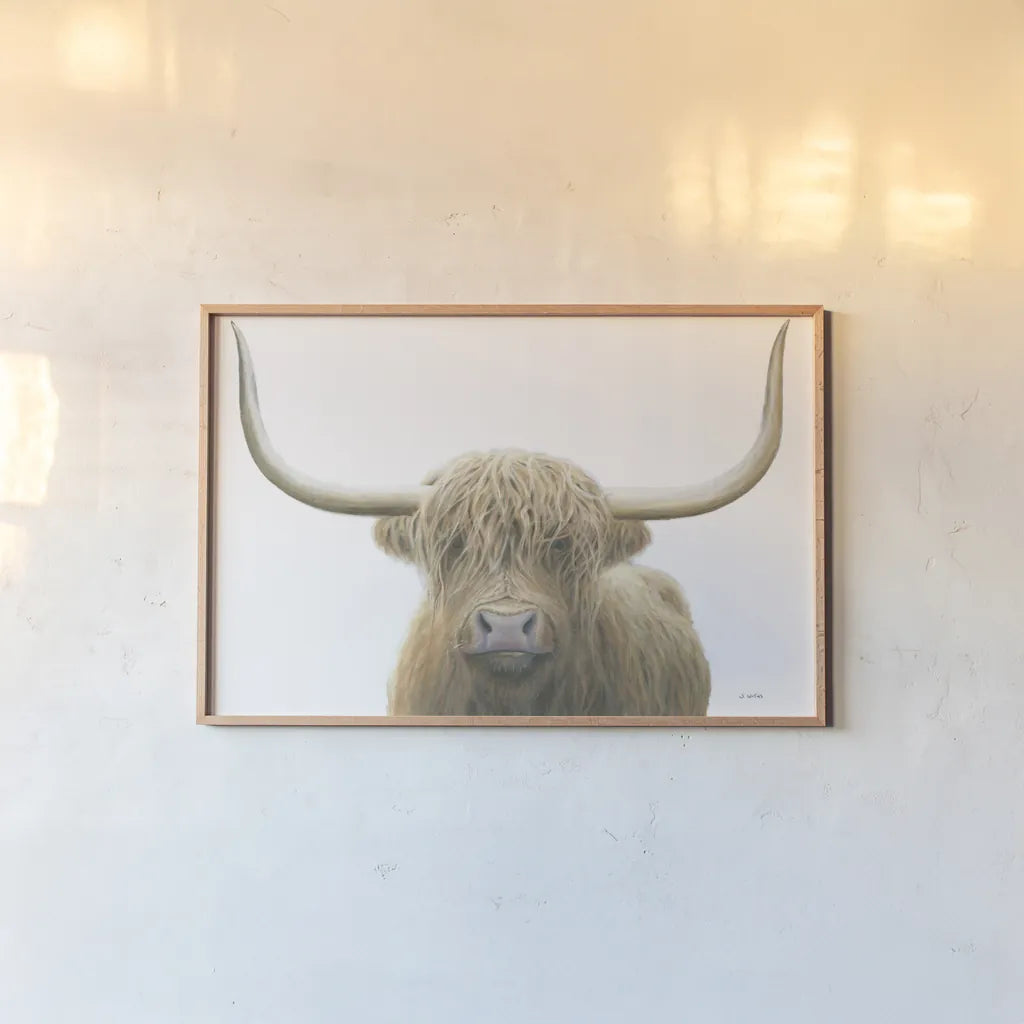 Highland Cow on White by James Wiens. shown as a paper print in a natural frame. Available as a archival giclee rolled canvas, fine art paper, or poster print. SKU 50230i.