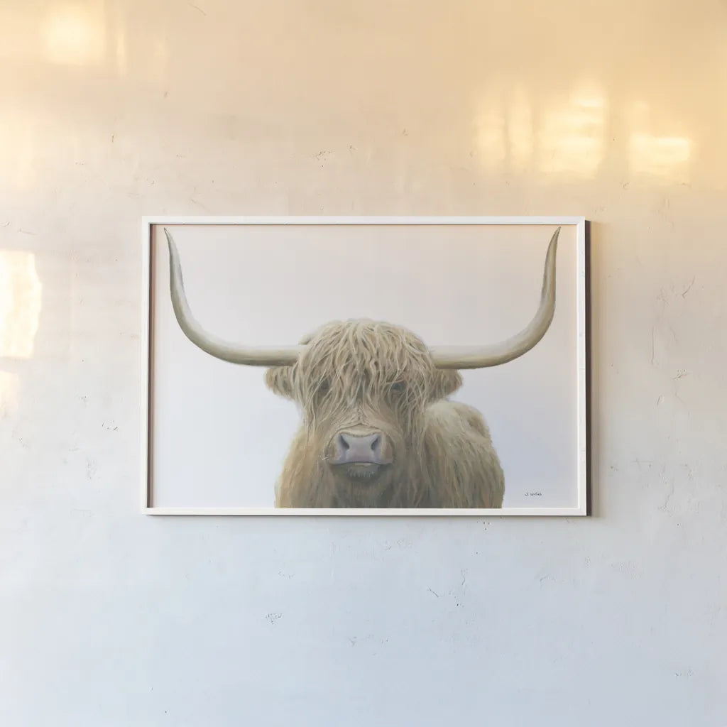 Highland Cow on White by James Wiens. shown as a paper print in a white frame. Available as a archival giclee rolled canvas, fine art paper, or poster print. SKU 50230i.
