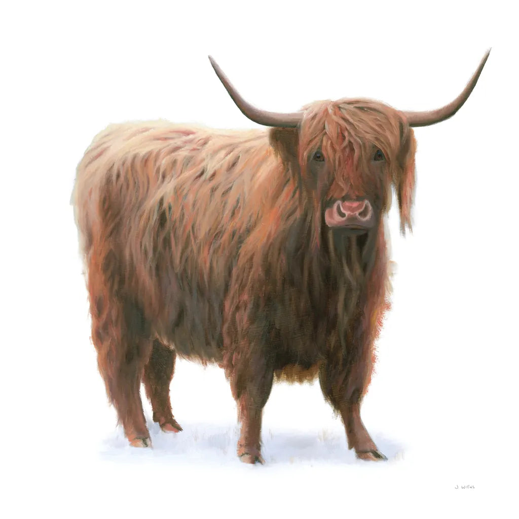 King of the Highland Fields on White by James Wiens. SKU 56467a. Archival Giclee Fine art print for wall decor.
