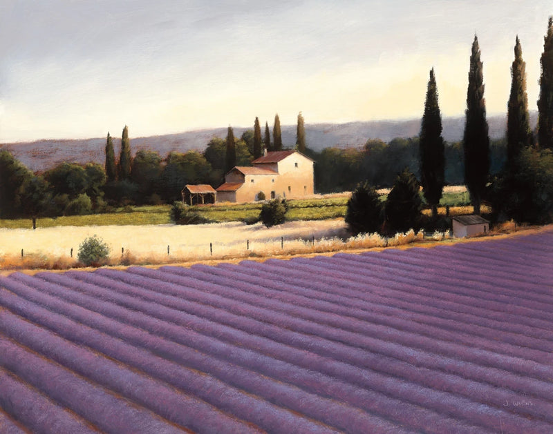 Lavender Fields II by James Wiens