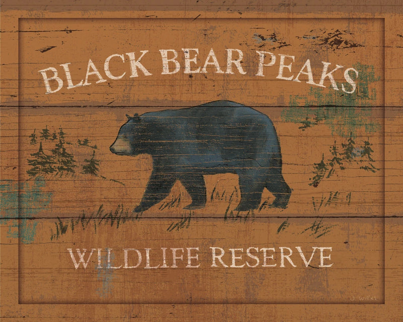 Lodge Signs V by James Wiens