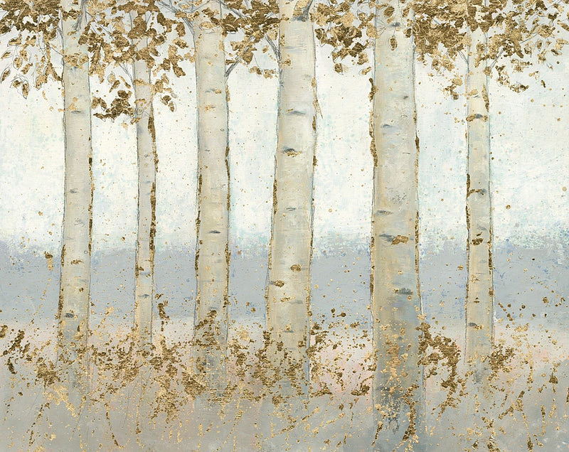 Magnificent Birch Grove by James Wiens