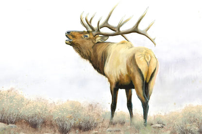 Majestic Elk by James Wiens. SKU 30561i. Archival Giclee Fine art print for wall decor.